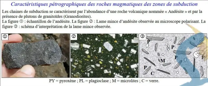 Les chaînes de montagnes récentes et leurs relations avec la tectonique des plaques
